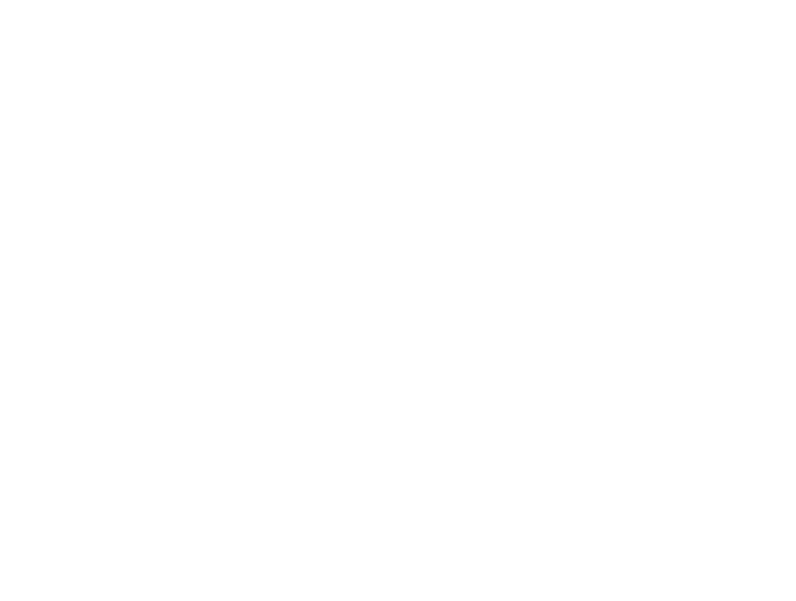 bgk_logo